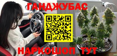 гашик Краснознаменск