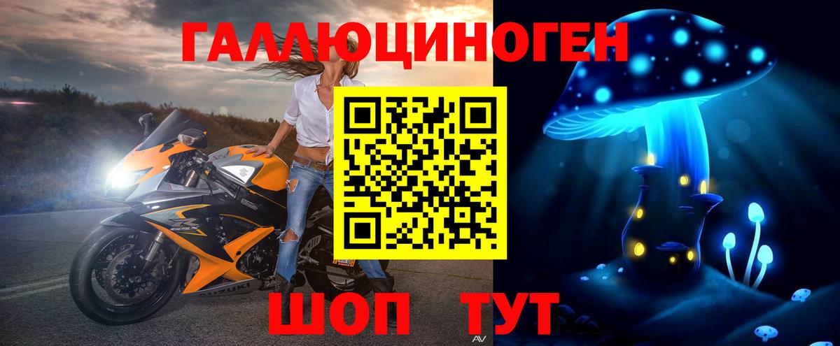 Галлюциногенные грибы Psilocybe  Вход с VPN  Краснокаменск 